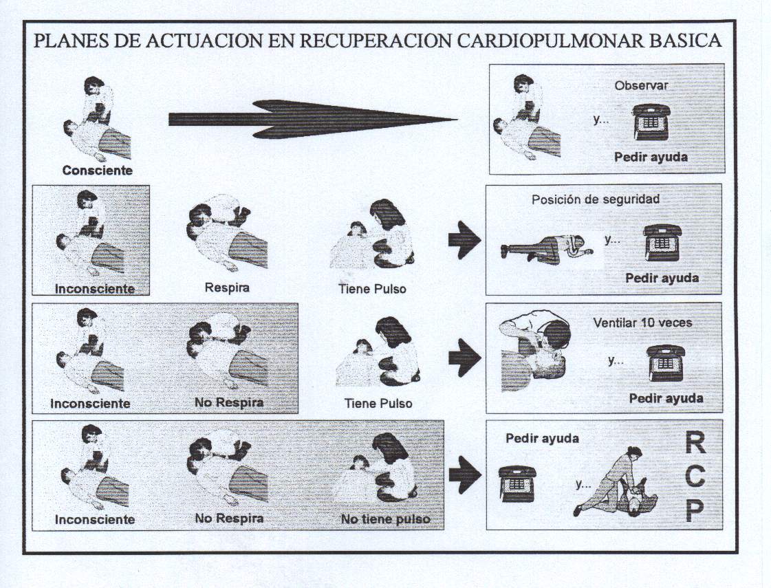 Respiratórios e de reanimação cardíaca?