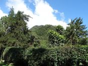  Guia de Valle de Anton, PANAMÁ