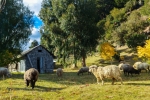 Futaleufu, Guia da cidade. Informação.  Futaleufu - CHILE