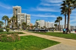 Viña del Mar, Informação e guia de Viña del Mar.  Viña del Mar - CHILE