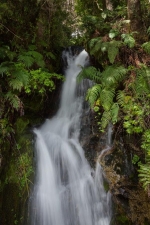 Peulla, guia da cidade - Puerto Varas, Chile.  Peulla - CHILE