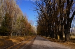 Uspallata, guia da cidade de Uspallata, Mendoza, Argentina.  Uspallata - ARGENTINA