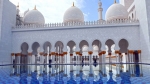 Guia de Abu Dhabi nos Emirados Árabes Unidos. tudo o que você precisa saber.  Abu Dabi - EMIRADOS RABES UNIDOS