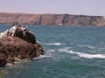 Paracas, Guia e informações da cidade de Paracas no Peru.  Paracas - PERU