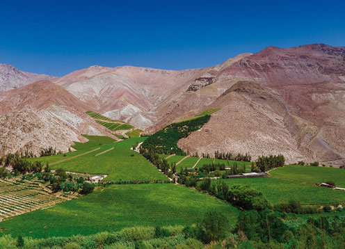 Vale do Elqui, La Serena - CHILE 