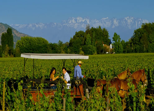 Vale do Conchagua, Santa Cruz - CHILE 