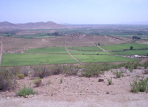 Vinha Agua Tierra