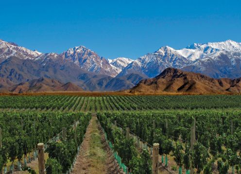 Vale de Uco,  - ARGENTINA 