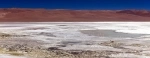 Salar de Pujsa.  San Pedro de Atacama - CHILE