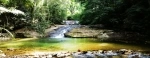 Parque Nacional e Floresta da Tijuca, Rio de Janeiro - Brasil.  Rio de Janeiro - BRASIL