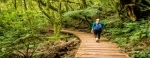 Parque Nacional La Tigra, Tegucigalpa, Honduras, Guia de Parques Nacionales.  Tegucigalpa - HONDURAS