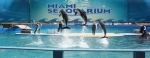 Miami Seaquarium. Guia de atrações de Miami. o que fazer, o que ver, informações.  Miami, FL - ESTADOS UNIDOS