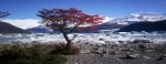Onell Bay, Parque Nacional Los Glaciares, Argentina, El Calafate, Guia.  El Calafate - ARGENTINA