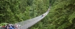 A Ponte Suspensa Capilano atravessa o rio Capilano no distrito de North Vancouver, em Vancouver, British Columbia, Canadá..  Vancouver - CANAD