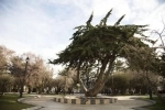 Praça Muñoz Gamero, Guia de Atrações de Punta Arenas.  Punta Arenas - CHILE