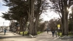 Praça Muñoz Gamero, Guia de Atrações de Punta Arenas.  Punta Arenas - CHILE