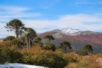 Parque Nacional Villarrica em Pucon.  Pucon - CHILE