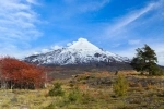 Parque Nacional Villarrica em Pucon.  Pucon - CHILE