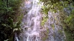 Parque Nacional La Tigra, Tegucigalpa, Honduras, Guia de Parques Nacionales.  Tegucigalpa - HONDURAS