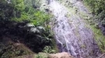 Parque Nacional La Tigra, Tegucigalpa, Honduras, Guia de Parques Nacionales.  Tegucigalpa - HONDURAS