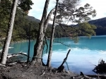 Parque Nacional Os Glaciares.  El Calafate - ARGENTINA