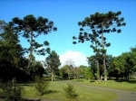 Jardim Botânico de Curitiba. Guia da cidade o que ver, o que fazer.   - BRASIL