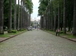 Praça da Liberdade, Belo Horizonte. Guia de Belo Horizonte, Brasil..  Belo Horizonte - BRASIL