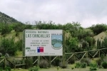 Reserva Nacional Las Chinchillas.  Illapel - CHILE