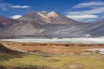 Laguna Miscanti, Guia de San Pedro de Atacama, Informações.  San Pedro de Atacama - CHILE