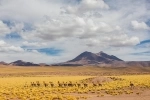 Reserva Nacional Los Flamencos, San Pedro de Atacama, Hotéis, Parques Nacionais.  San Pedro de Atacama - CHILE