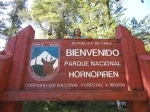 Parque Nacional Hornopiren.  Hornopirén - CHILE