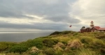 Parque Nacional Cabo de Hornos, Patagonia, Punta Arenas.  Punta Arenas - CHILE