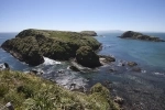 Pingüineras Puñihuil, Ancud, Reserva Nacional, Tour, Chiloe.  Ancud - CHILE