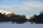 Cerro Castor, Usuahia, Centro de Esqui, Argentina.  Ushuaia - ARGENTINA