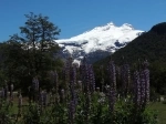 Cerro Tronador.  Bariloche - ARGENTINA