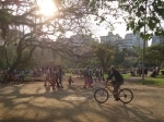 Parque Moinhos de Vento, Guia de Atrações de Porto Alegre. Brasil.   - BRASIL