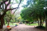 Parque Moinhos de Vento, Guia de Atrações de Porto Alegre. Brasil.   - BRASIL