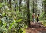 Parque de ecoturismo Arví, Medellín. Colômbia. Parques Nacionais na Colômbia.  Medellín - Colmbia