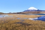 Lago Chungara, Putre, Arica.  Arica - CHILE