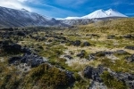 Parque Nacional Puyehue, Guia de Parques Nacionais no Chile. Informações, Hotéis, Turismo.  Puyehue - CHILE