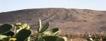 Vale de Azapa. Guia para Arica e seus arredores.  Arica - CHILE