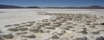 Monumento Natural Salar de Surire.  Putre - CHILE