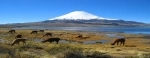 Parque Nacional Lauca, Lago Chungara, Caminhadas, caminhadas, Chung, Lauca, Arica, Putre.  Putre - CHILE