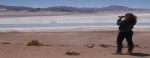 Reserva Nacional Pampa del Tamarugal, Atacama.  Iquique - CHILE