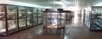 Museu de Ciência Natural Domingo Faustino Sarmiento.  Mendoza - ARGENTINA