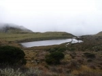 Parque Natural Nacional Los Nevados, Ibagué. Colômbia.  Ibague - Colmbia