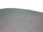 Vale de Azapa. Guia para Arica e seus arredores.  Arica - CHILE