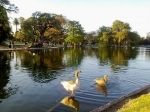 Florestas de Palermo, Buenos Aires, Argentina, Guia de Buenos Aires.  Buenos Aires - ARGENTINA