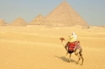 Pirâmides de Gizé, guia de atrações do Cairo, Egito..  O Cairo - Egito