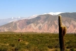 Parque Nacional Los Cardones, Parques Nacionais, Argentina, Salta.  Payogasta - ARGENTINA